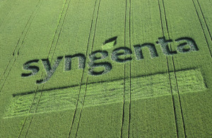 syngenta03